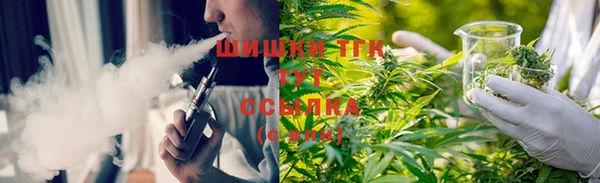 дживик Заречный