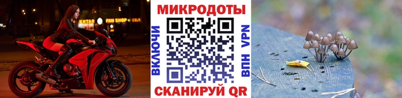 Галлюциногенные грибы ЛСД  Старица 