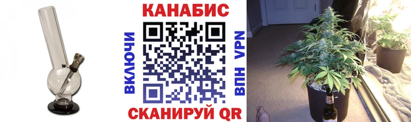 Шишки марихуана сатива Старица